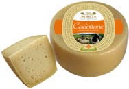 CACIOTTONE DI NORCIA AL KG. GRIFO IGP (KG.3)