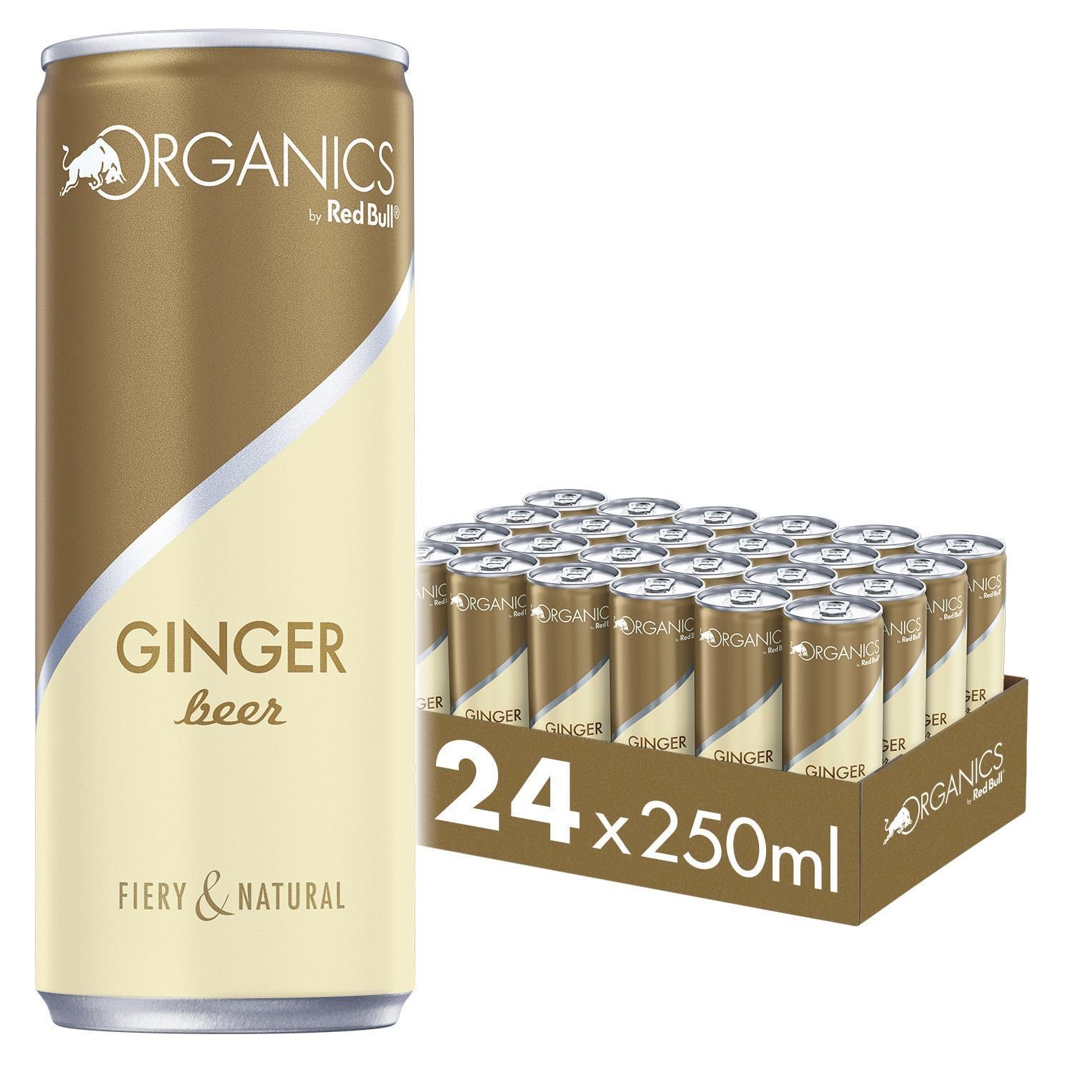 RED BULL ORGANICS GINGER BEER CL.25 LATTINA