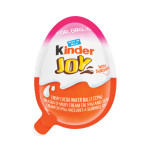 WONKA KINDER JOY T1X36